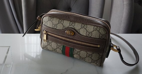 Ophidia GG Mini Bag